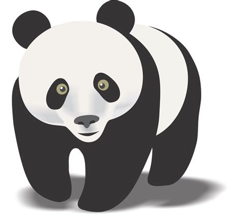 Eye Clip Art Vector Clipart Panda Free Clipart Images Images And