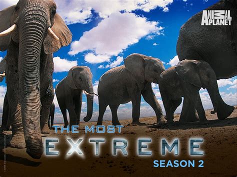 Watch Most Extreme Season 2 | Prime Video