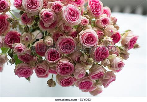 Bouquet Of Mimi Eden Spray Roses On Paris Apartment Balcony Stock