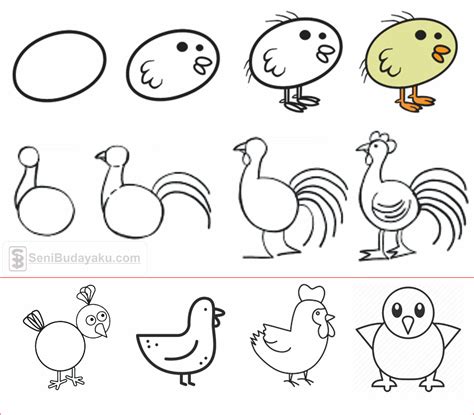 10 Cara Menggambar Ayam Dengan Mudah Seni Budayaku