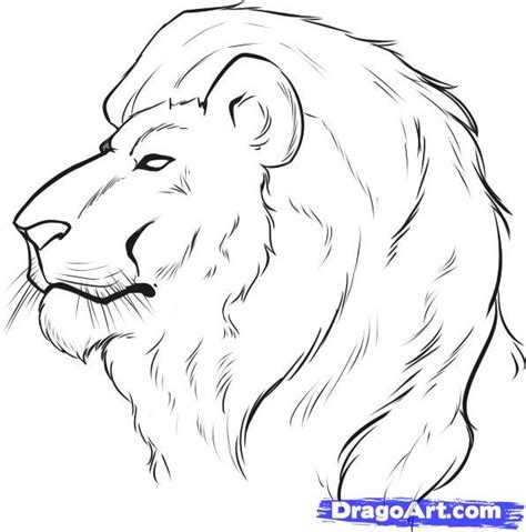 Free How To Draw A Lion, Download Free How To Draw A Lion ...