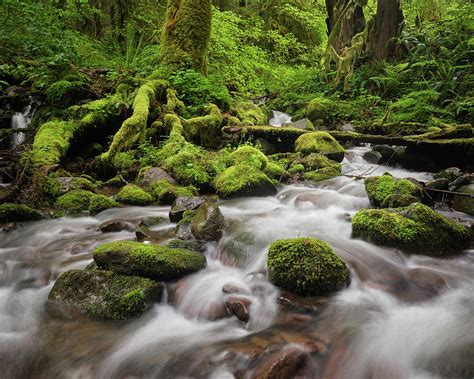 Rushing Creek Photograph By Christopher Haverty Fine Art America