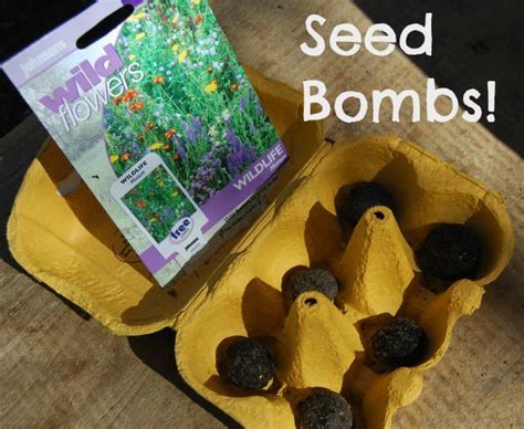 Make Your Own Seed Bomb Woodland Classroom