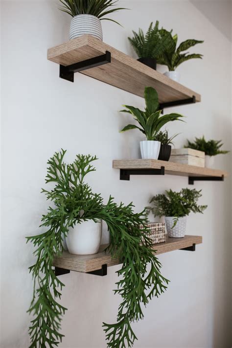 Built In Plant Shelf Decorating Ideas Best Design Idea