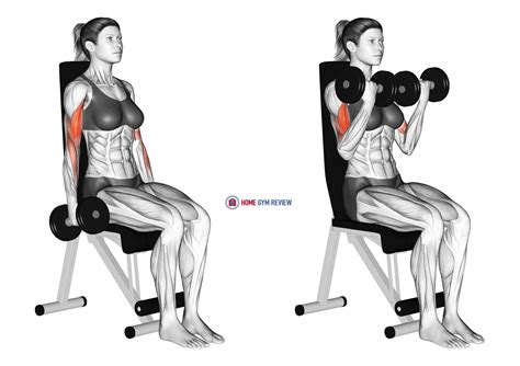 Dumbbell Seated Curl Female Home Gym Review