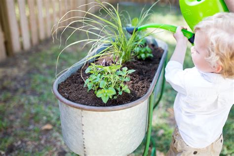Toddler Friendly Gardening Tips And Ideas Child Friendly Garden