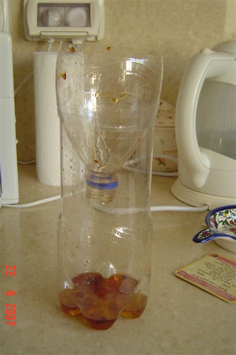 Make a Fly Trap in 2 Simple Steps - Instructables