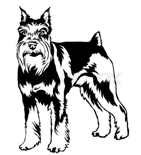 Schnauzer Line Drawing At Getdrawings Free Download