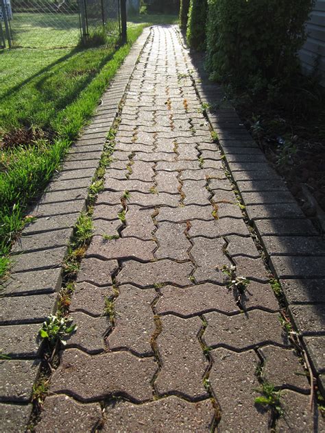 Brick Paverscantonplymouthnorthvilleann Arborpatiopatiosrepair