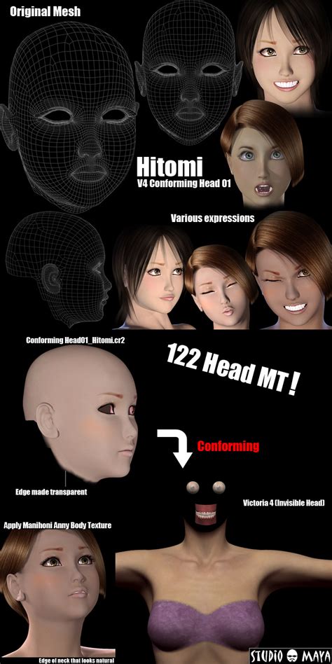 Hitomiv4 Conforming Head 3d Figure Assets Mayax