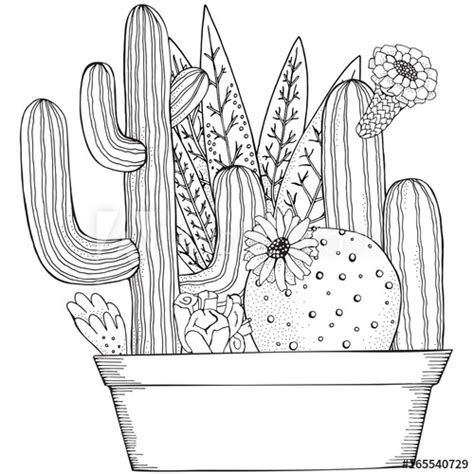 Coloring definitely has therapeutic potential to reduce anxiety create focus or bring about more mindfulness says berberian. Hand drawn set of succulents and cactus in pots. Doodles ...
