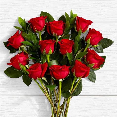 Red Roses One Dozen Red Roses Milwaukee Florist Specials