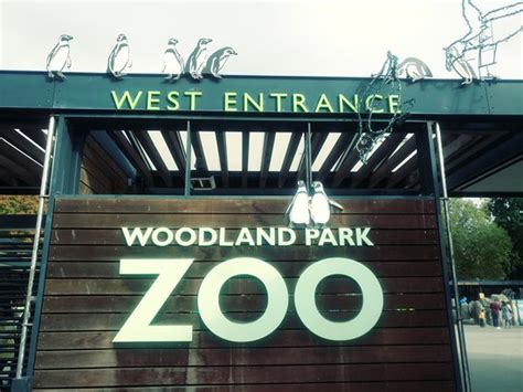 Woodland Park Zoo Seattle 2020 All You Need To Know Before You Go