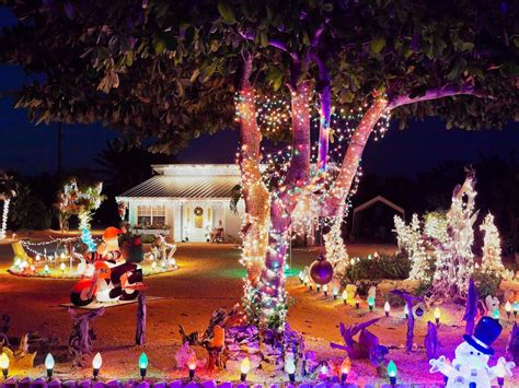 Check spelling or type a new query. Buyers Guide For the Best Outdoor Christmas Lighting | DIY