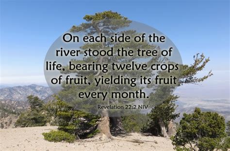 The Tree Of Life Rev 221 2