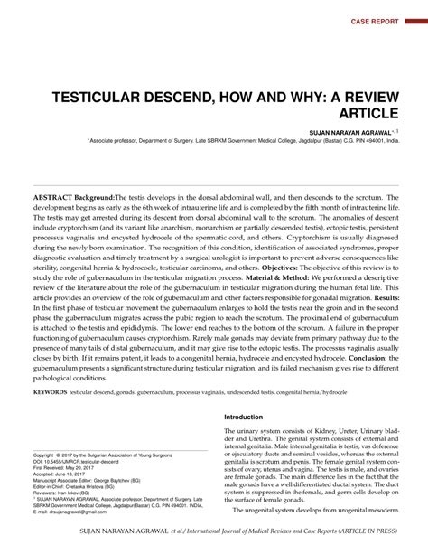 (PDF) Testicular Descend, How and Why: A Review Article