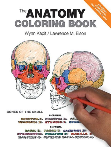 44 The Anatomy Coloring Book 4th Edition Answer Key Wordly Wise 3000