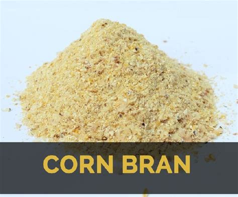 Corn Bran Exporters In Indore Madhya Pradesh India By Dubey Industries