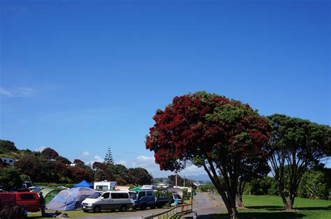 Fitzroy Beach Holiday Park Holiday Parks New Zealand
