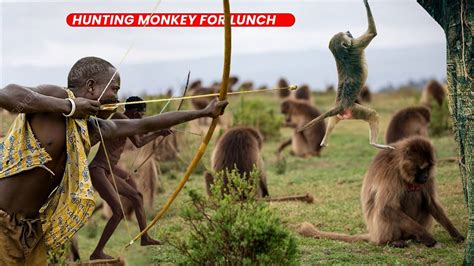 Watch The Hunters Of The Hadzabe Tribe Struggle To Find Prey For Food Hunting And Eating