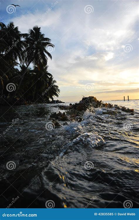 Sunset In Belize Stock Image Image Of Sunset Ocean 42835585