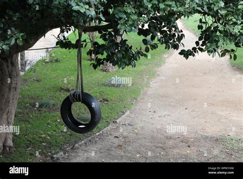 Tire Swing Is Hanging To Tree Hi Res Stock Photography And Images Alamy