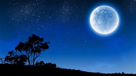 Moon Full Moon Night Night Sky Starry Silhouette