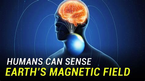 Humans Can Sense Earths Magnetic Field Youtube