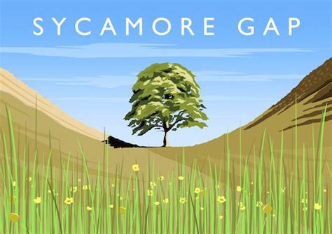 Sycamore Gap Art Print 나무