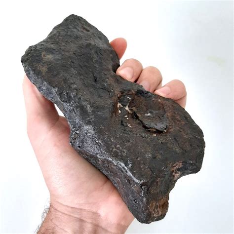Canyon Diablo Meteorite Huge Graphite Inclusion Meteolovers