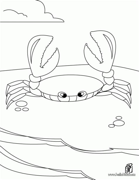 Horseshoe Crab Coloring Pages - coloringpages2019