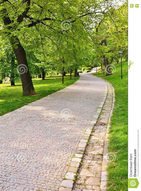 Beautiful Green Spring Park The Path In The Park Beautiful Quiet
