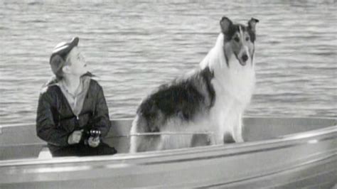 Amazonde Lassie Verschwindet Ansehen Prime Video