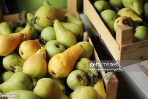 The Winter Pear Photos And Premium High Res Pictures Getty Images