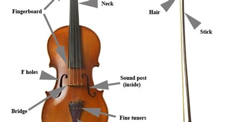 Play Violin And Viola Parts Of The Violin And Viola