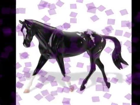 breyer appaloosa sport horse  trade   hold youtube