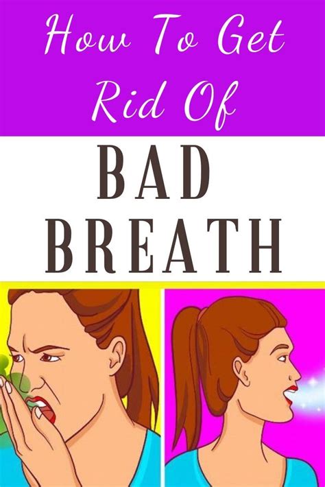 how to get rid of bad breath without going to your dentist bad breath bad breath remedy top