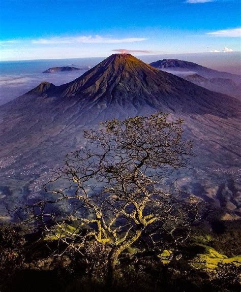 Cilacap — a quiet off the beaten track town on the south coast with great potential for tourism development. Mount Sumbing, a perfect place for #nature #lovers in ...