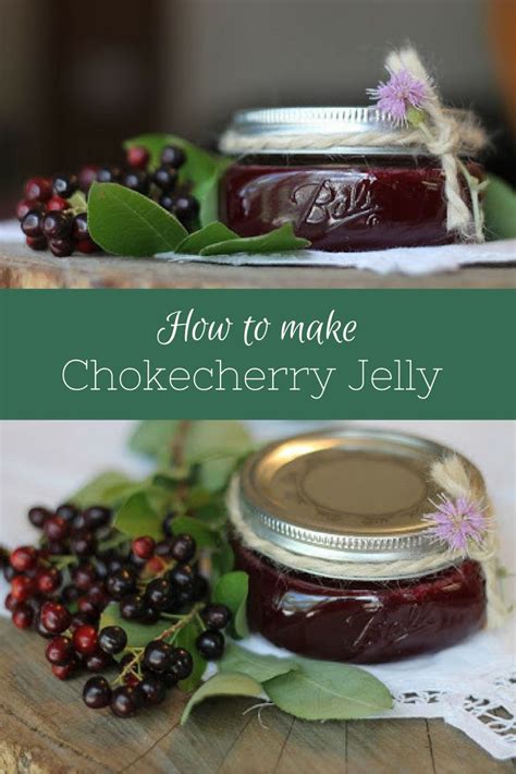 How To Make Chokeberry Jelly
