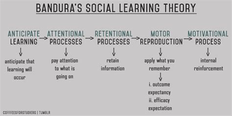 Albert Bandura Social Learning Theory Stages