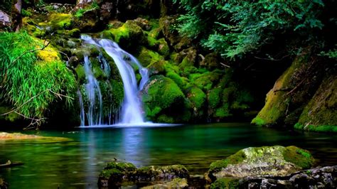 Nature Wallpapers For Desktop Background Download Best Hd Images