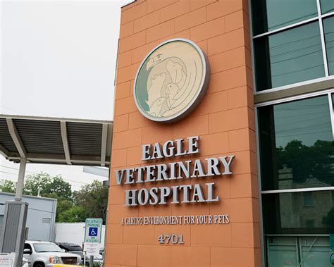 Best Veterinary Hospital In San Antonio Tx 78212