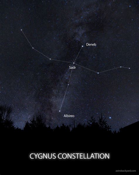 The Constellation Cygnus Facts Location Photos And Mythology