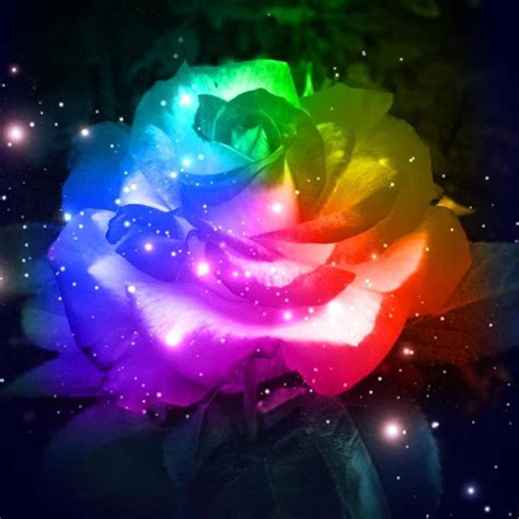 Rainbow Flowers Wallpaper