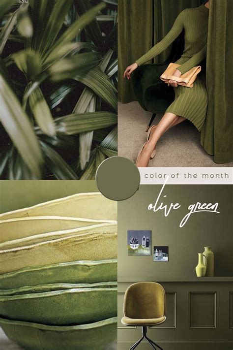 Color Trends Olive Green Color In Interiors And Design Green Color