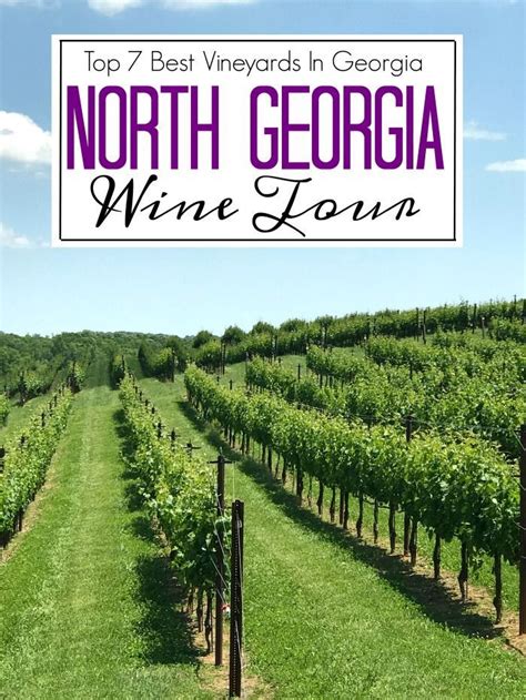 Top Vineyards In North Georgia North Georgia Wine Tour Wine Tasting