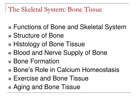 Ppt The Skeletal System Bone Tissue Chapter 6 Powerpoint