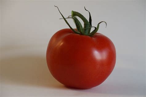 Tomato Vegetables Red · Free Photo On Pixabay