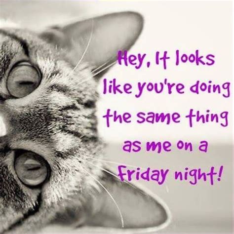 Funny Happy Friday Night Quotes Its Friday Quotes Friday Humor Fun