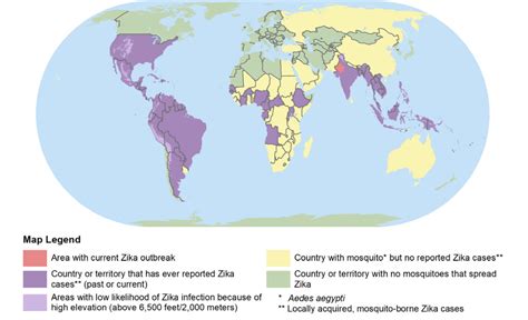 Zika The Confusing New Travel Advice Explained Vox